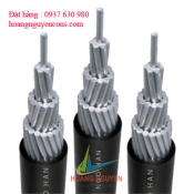 Dây điện lực ruột nhôm lõi thép cách điện PVC (AsV-0.6/1kV)